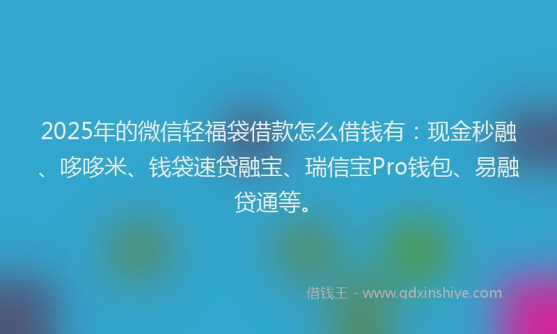 2025年的微信轻福袋借款怎么借钱有：现金秒融、哆哆米、钱袋速贷融宝、瑞信宝Pro钱包、易融贷通等。