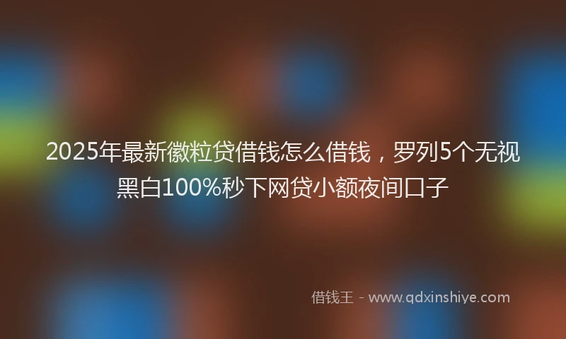 2025年最新徽粒贷借钱怎么借钱，罗列5个无视黑白100%秒下网贷小额夜间口子