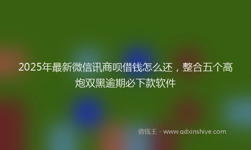 2025年最新微信讯商呗借钱怎么还，整合五个高炮双黑逾期必下款软件