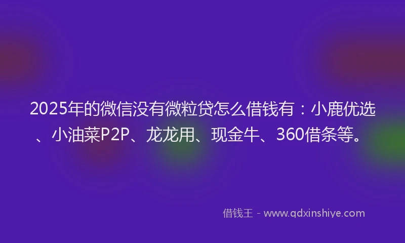 2025年的微信没有微粒贷怎么借钱有：小鹿优选、小油菜P2P、龙龙用、现金牛、360借条等。