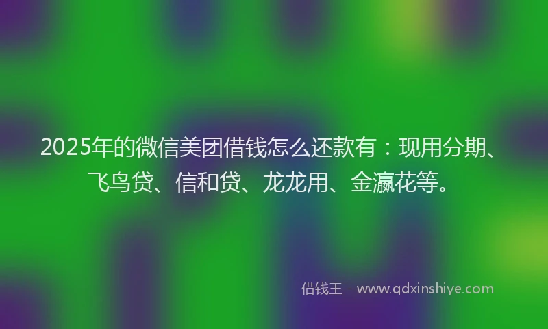2025年的微信美团借钱怎么还款有：现用分期、飞鸟贷、信和贷、龙龙用、金瀛花等。