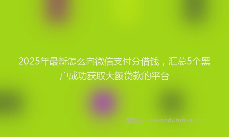 2025年最新怎么向微信支付分借钱，汇总5个黑户成功获取大额贷款的平台