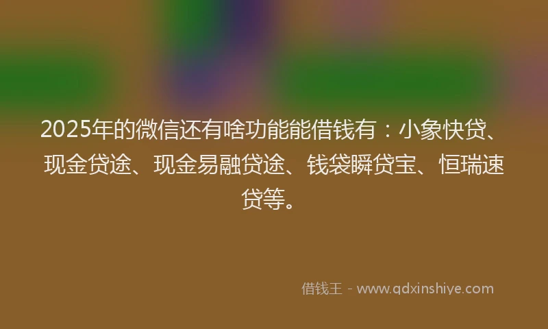 2025年的微信还有啥功能能借钱有：小象快贷、现金贷途、现金易融贷途、钱袋瞬贷宝、恒瑞速贷等。