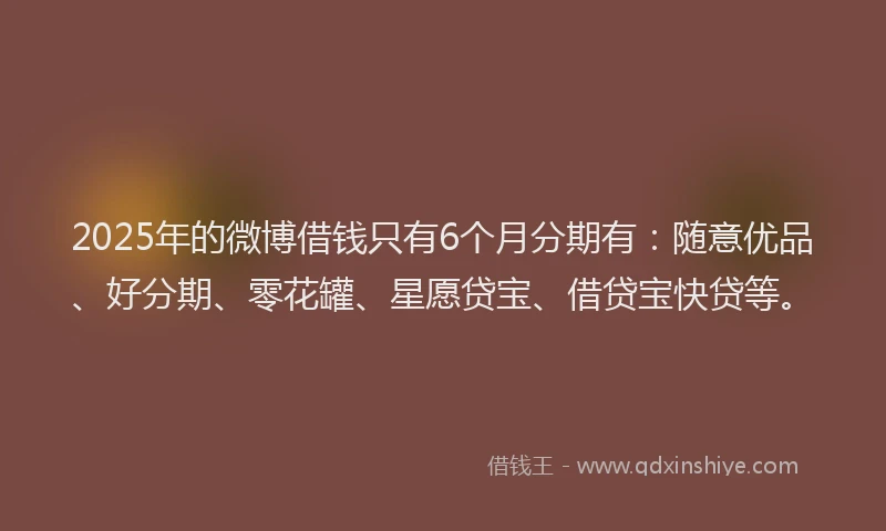 2025年的微博借钱只有6个月分期有：随意优品、好分期、零花罐、星愿贷宝、借贷宝快贷等。