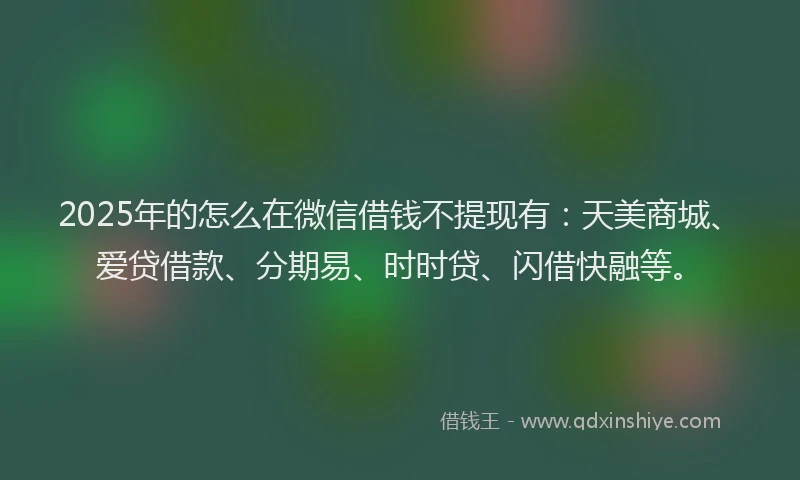 2025年的怎么在微信借钱不提现有：天美商城、爱贷借款、分期易、时时贷、闪借快融等。