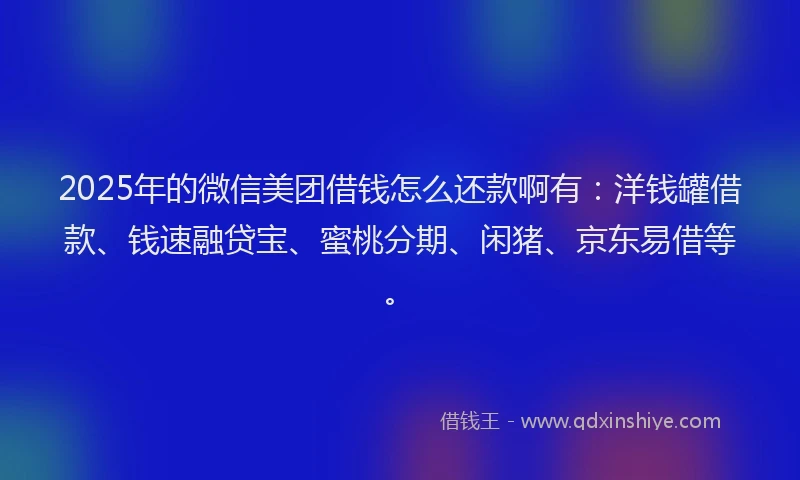 2025年的微信美团借钱怎么还款啊有：洋钱罐借款、钱速融贷宝、蜜桃分期、闲猪、京东易借等。