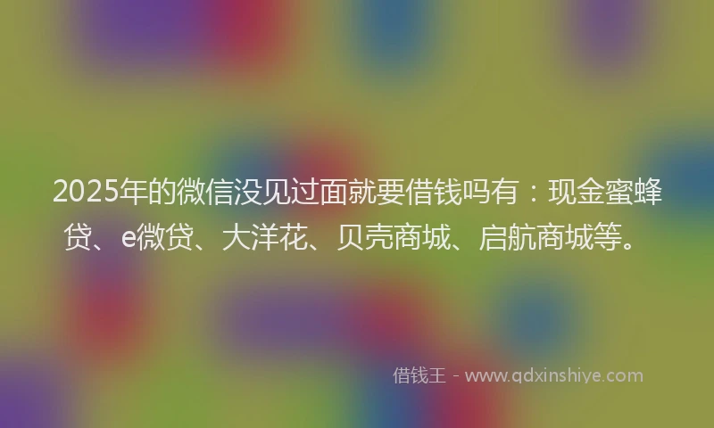 2025年的微信没见过面就要借钱吗有：现金蜜蜂贷、e微贷、大洋花、贝壳商城、启航商城等。