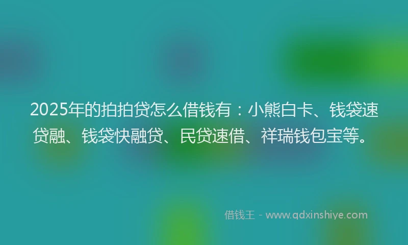 2025年的拍拍贷怎么借钱有：小熊白卡、钱袋速贷融、钱袋快融贷、民贷速借、祥瑞钱包宝等。