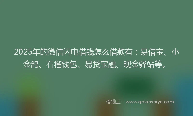 2025年的微信闪电借钱怎么借款有：易借宝、小金鸽、石榴钱包、易贷宝融、现金驿站等。