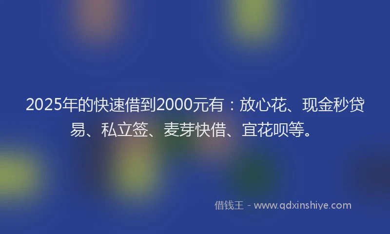 2025年的快速借到2000元有：放心花、现金秒贷易、私立签、麦芽快借、宜花呗等。