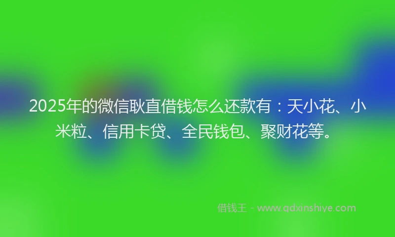 2025年的微信耿直借钱怎么还款有：天小花、小米粒、信用卡贷、全民钱包、聚财花等。