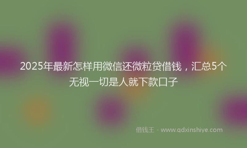 2025年最新怎样用微信还微粒贷借钱，汇总5个无视一切是人就下款口子