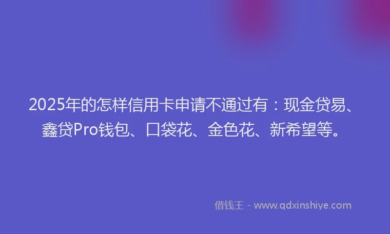 2025年的怎样信用卡申请不通过有：现金贷易、鑫贷Pro钱包、口袋花、金色花、新希望等。