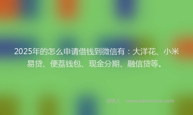 2025年的怎么申请借钱到微信有：大洋花、小米易贷、便荔钱包、现金分期、融信贷等。