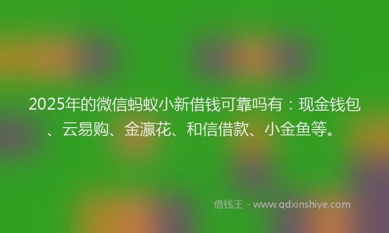 2025年的微信蚂蚁小新借钱可靠吗有：现金钱包、云易购、金瀛花、和信借款、小金鱼等。