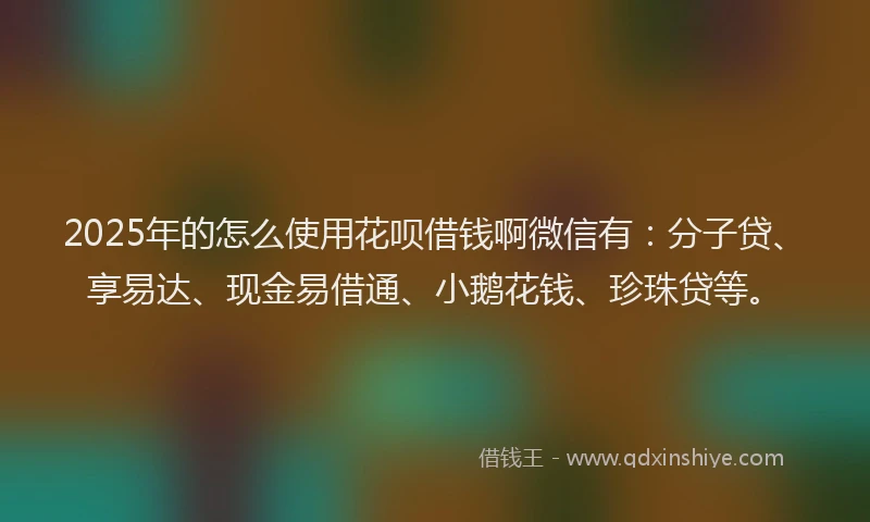 2025年的怎么使用花呗借钱啊微信有：分子贷、享易达、现金易借通、小鹅花钱、珍珠贷等。