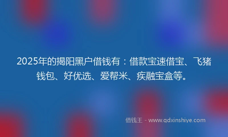 2025年的揭阳黑户借钱有：借款宝速借宝、飞猪钱包、好优选、爱帮米、疾融宝盒等。