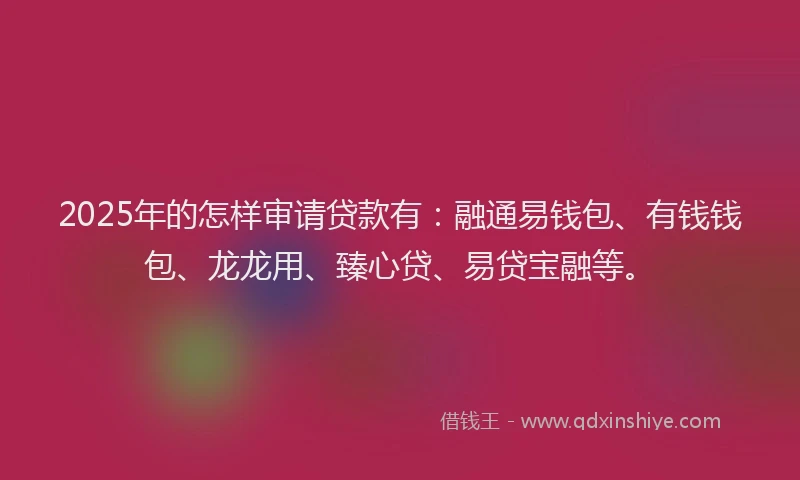 2025年的怎样审请贷款有：融通易钱包、有钱钱包、龙龙用、臻心贷、易贷宝融等。