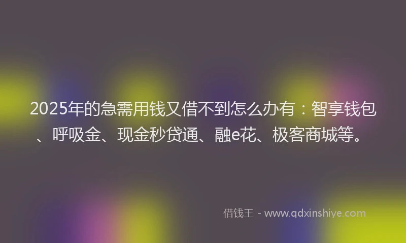 2025年的急需用钱又借不到怎么办有：智享钱包、呼吸金、现金秒贷通、融e花、极客商城等。