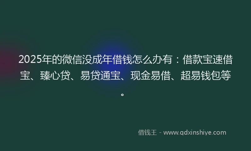 2025年的微信没成年借钱怎么办有：借款宝速借宝、臻心贷、易贷通宝、现金易借、超易钱包等。