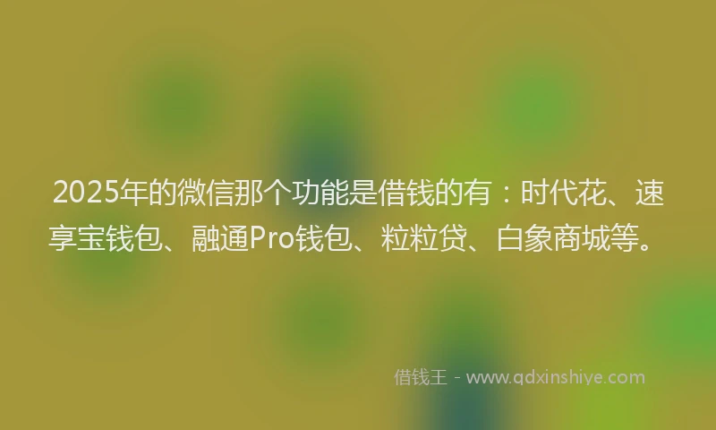 2025年的微信那个功能是借钱的有：时代花、速享宝钱包、融通Pro钱包、粒粒贷、白象商城等。