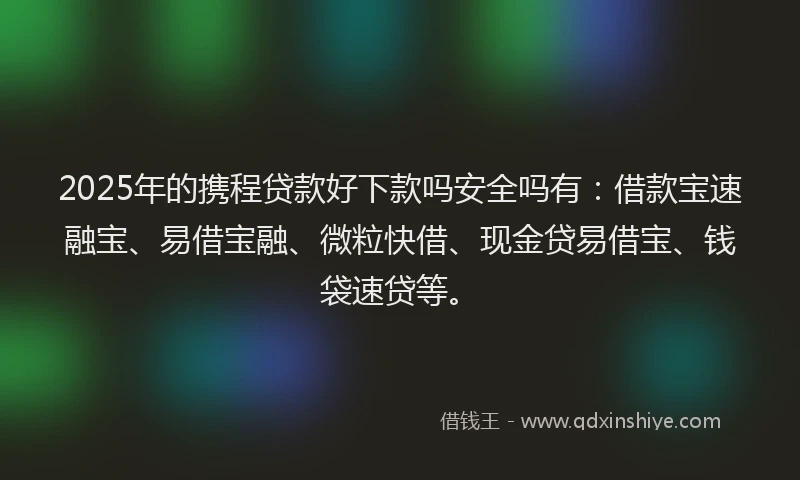 2025年的携程贷款好下款吗安全吗有：借款宝速融宝、易借宝融、微粒快借、现金贷易借宝、钱袋速贷等。
