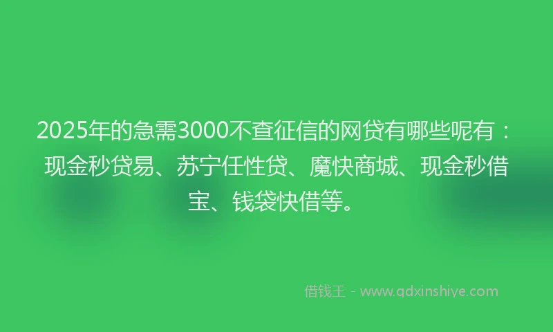 2025年的急需3000不查征信的网贷有哪些呢有：现金秒贷易、苏宁任性贷、魔快商城、现金秒借宝、钱袋快借等。