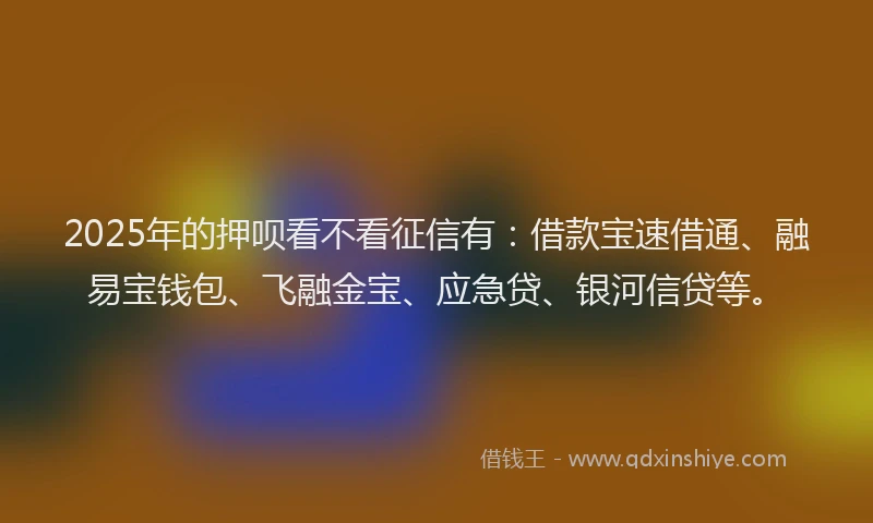 2025年的押呗看不看征信有：借款宝速借通、融易宝钱包、飞融金宝、应急贷、银河信贷等。