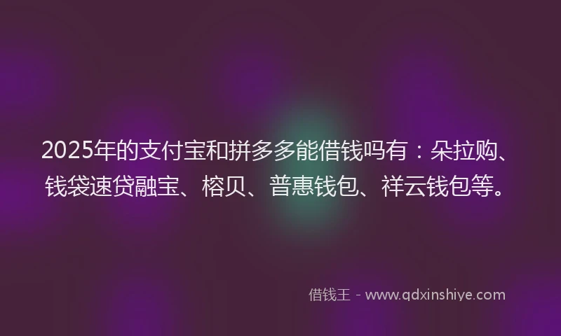 2025年的支付宝和拼多多能借钱吗有:朵拉购、钱袋速贷融宝、榕贝、普惠钱包、祥云钱包等。