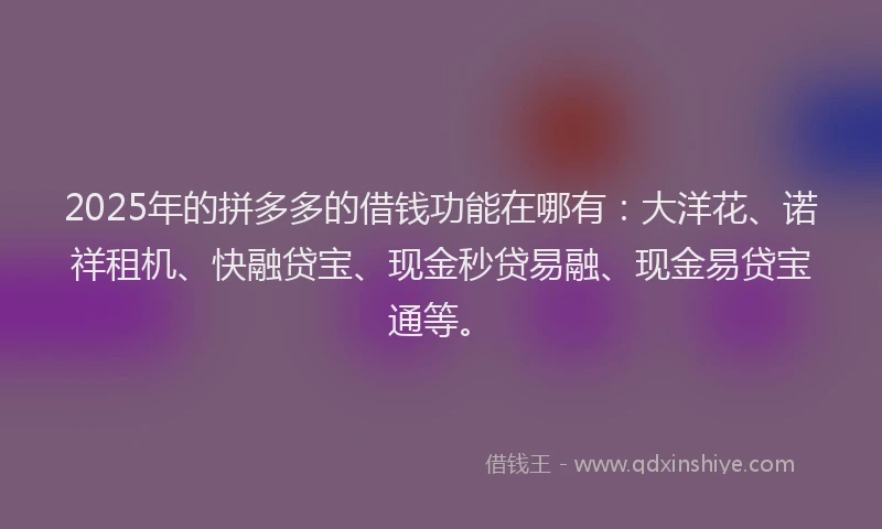 2025年的拼多多的借钱功能在哪有：大洋花、诺祥租机、快融贷宝、现金秒贷易融、现金易贷宝通等。