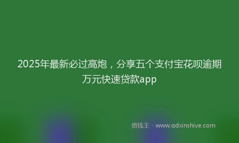 2025年最新必过高炮，分享五个支付宝花呗逾期万元快速贷款app