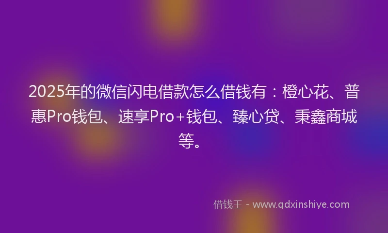 2025年的微信闪电借款怎么借钱有：橙心花、普惠Pro钱包、速享Pro+钱包、臻心贷、秉鑫商城等。