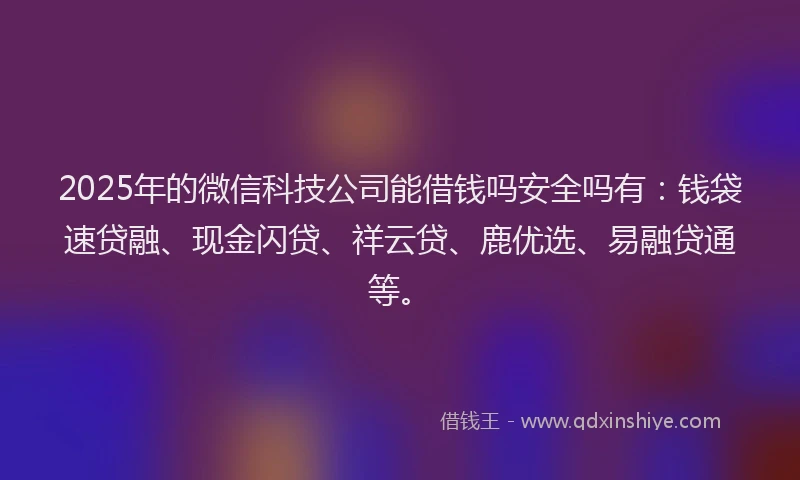 2025年的微信科技公司能借钱吗安全吗有：钱袋速贷融、现金闪贷、祥云贷、鹿优选、易融贷通等。