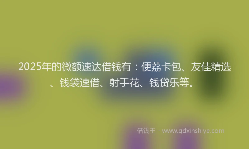 2025年的微额速达借钱有：便荔卡包、友佳精选、钱袋速借、射手花、钱贷乐等。