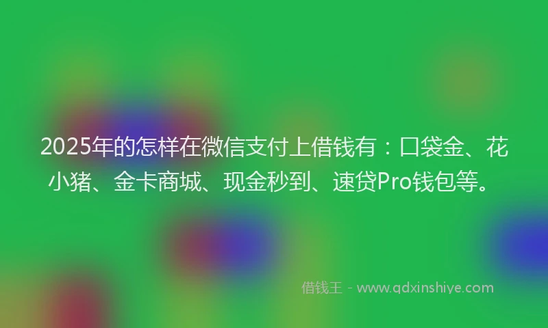 2025年的怎样在微信支付上借钱有：口袋金、花小猪、金卡商城、现金秒到、速贷Pro钱包等。