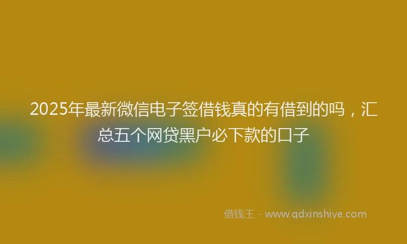 2025年最新微信电子签借钱真的有借到的吗，汇总五个网贷黑户必下款的口子