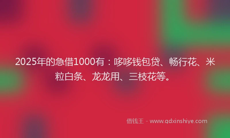 2025年的急借1000有：哆哆钱包贷、畅行花、米粒白条、龙龙用、三枝花等。
