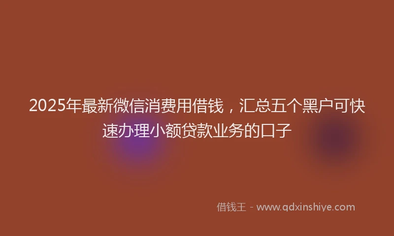 2025年最新微信消费用借钱，汇总五个黑户可快速办理小额贷款业务的口子
