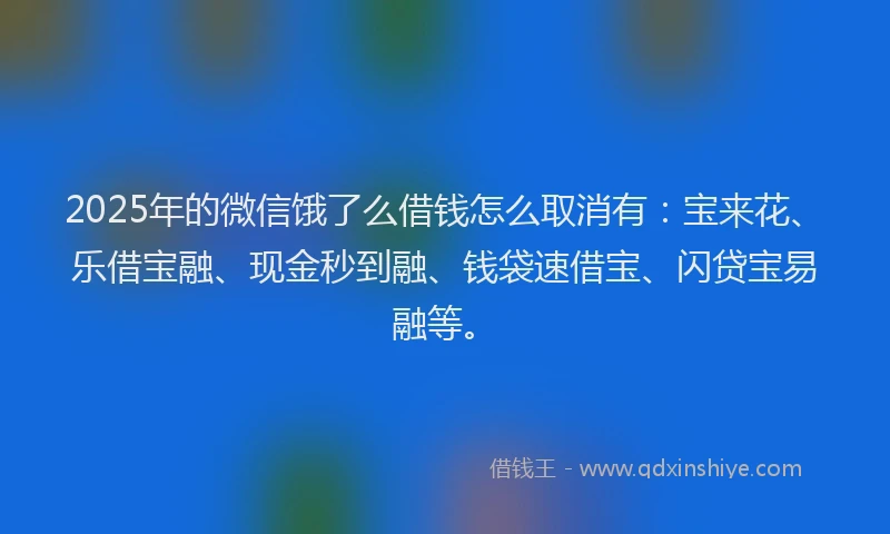 2025年的微信饿了么借钱怎么取消有：宝来花、乐借宝融、现金秒到融、钱袋速借宝、闪贷宝易融等。