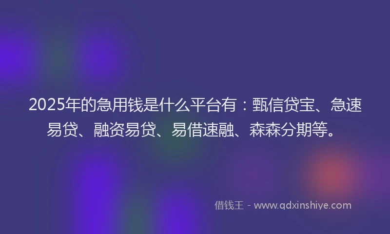 2025年的急用钱是什么平台有：甄信贷宝、急速易贷、融资易贷、易借速融、森森分期等。