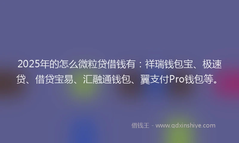 2025年的怎么微粒贷借钱有：祥瑞钱包宝、极速贷、借贷宝易、汇融通钱包、翼支付Pro钱包等。