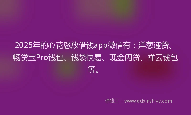 2025年的心花怒放借钱app微信有：洋葱速贷、畅贷宝Pro钱包、钱袋快易、现金闪贷、祥云钱包等。