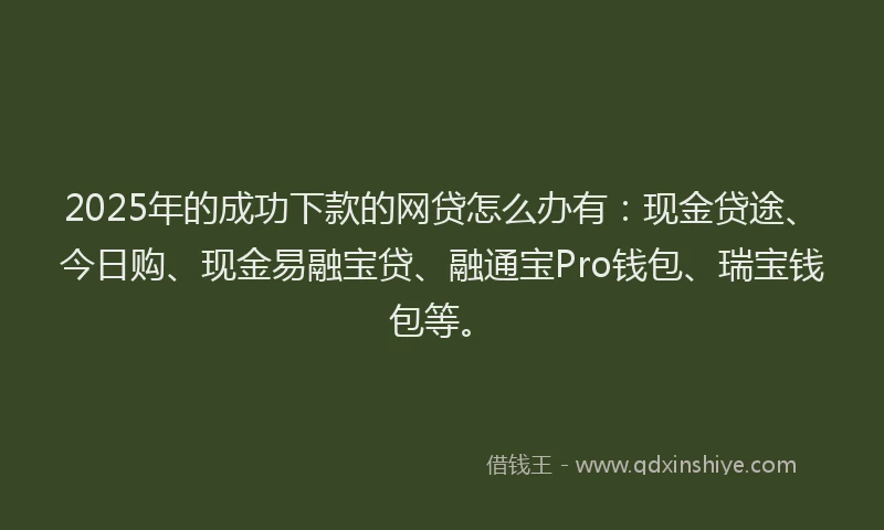 2025年的成功下款的网贷怎么办有：现金贷途、今日购、现金易融宝贷、融通宝Pro钱包、瑞宝钱包等。