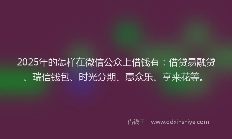 2025年的怎样在微信公众上借钱有：借贷易融贷、瑞信钱包、时光分期、惠众乐、享来花等。