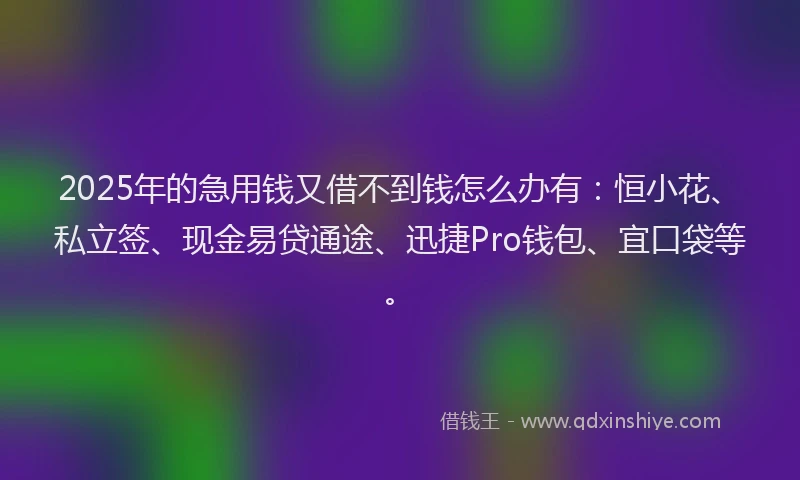 2025年的急用钱又借不到钱怎么办有：恒小花、私立签、现金易贷通途、迅捷Pro钱包、宜口袋等。