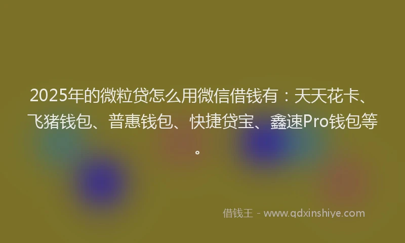 2025年的微粒贷怎么用微信借钱有：天天花卡、飞猪钱包、普惠钱包、快捷贷宝、鑫速Pro钱包等。
