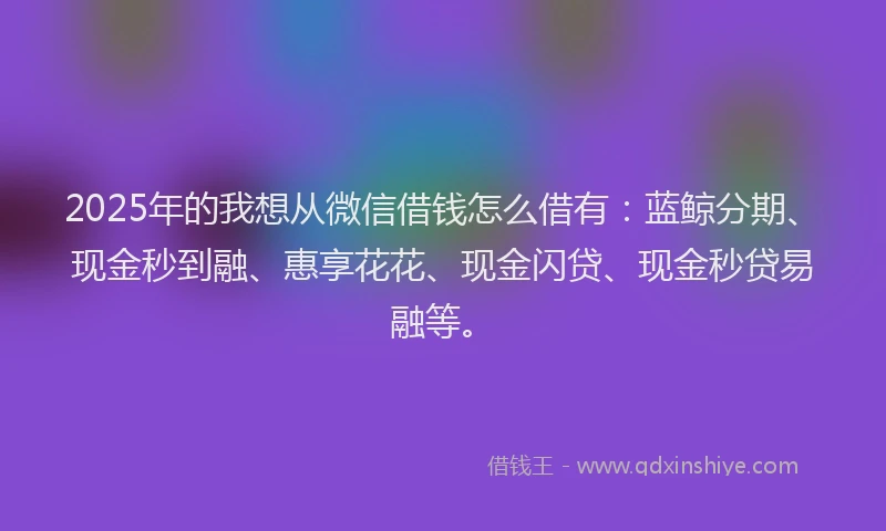 2025年的我想从微信借钱怎么借有：蓝鲸分期、现金秒到融、惠享花花、现金闪贷、现金秒贷易融等。