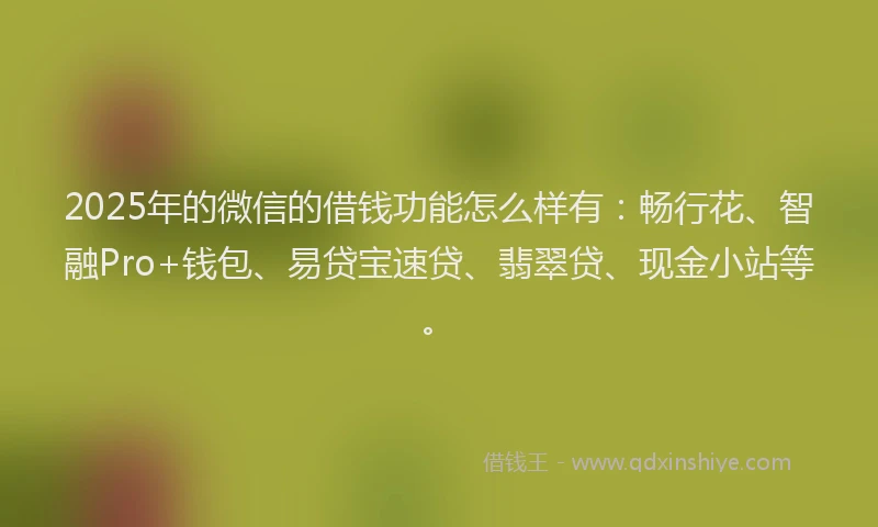 2025年的微信的借钱功能怎么样有：畅行花、智融Pro+钱包、易贷宝速贷、翡翠贷、现金小站等。