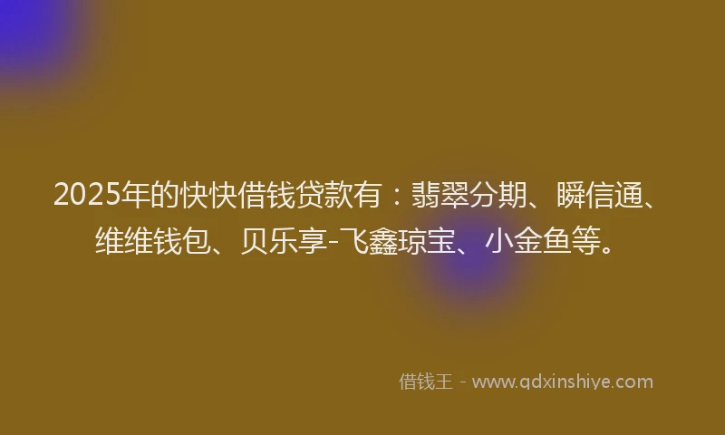 2025年的快快借钱贷款有：翡翠分期、瞬信通、维维钱包、贝乐享-飞鑫琼宝、小金鱼等。