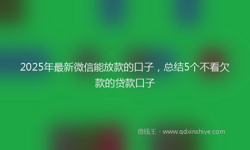 2025年最新微信能放款的口子，总结5个不看欠款的贷款口子